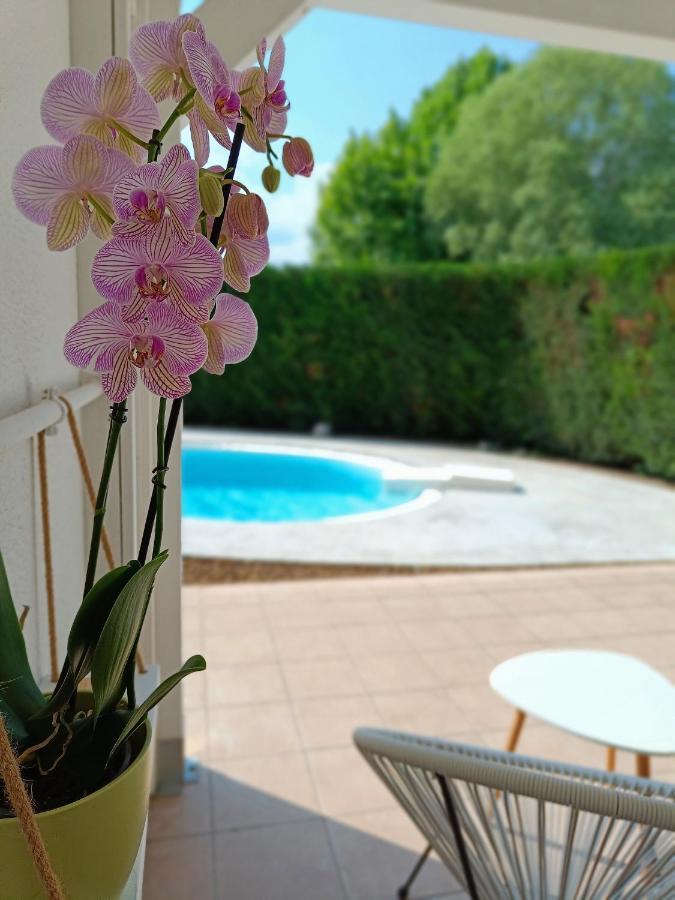 Picnic Room And Pool كاستلْنْيوفو ديل غارد المظهر الخارجي الصورة