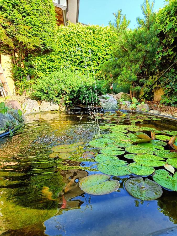 Picnic Room And Pool كاستلْنْيوفو ديل غارد المظهر الخارجي الصورة