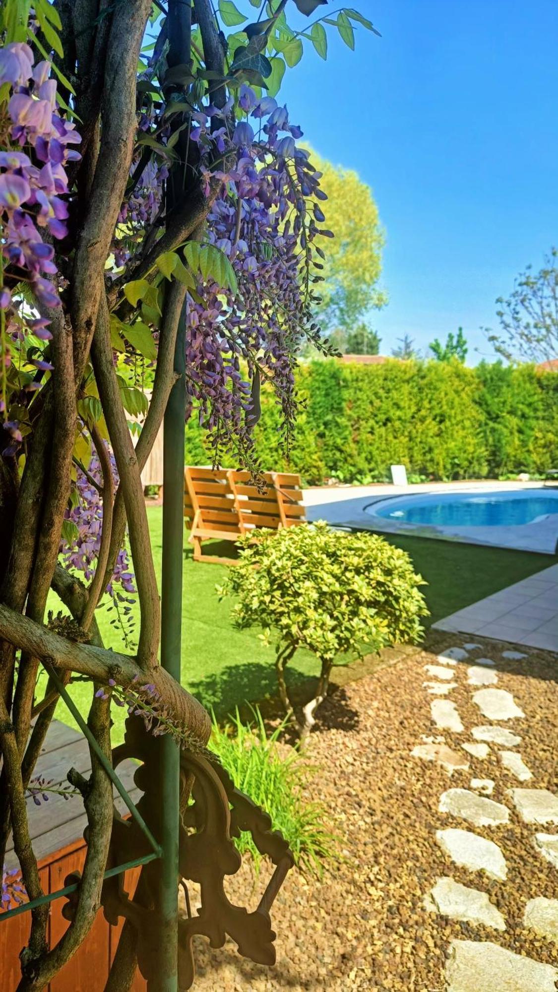 Picnic Room And Pool كاستلْنْيوفو ديل غارد المظهر الخارجي الصورة